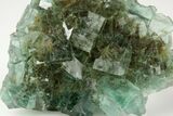 Green Cubic Fluorite Cluster With Phantoms - Okorusu Mine #191979-2